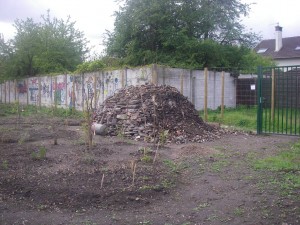 IMGP9627