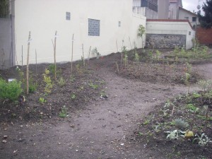 IMGP9629