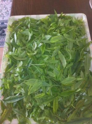 photo(1)